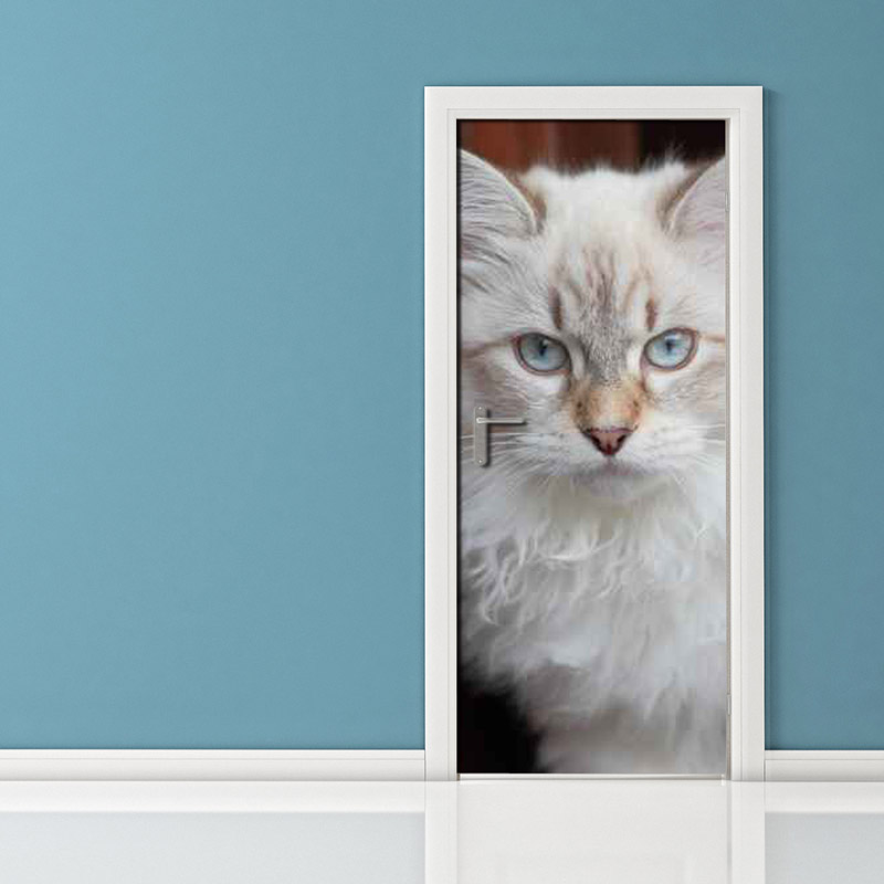 Adesivi per porte: gatto bianco