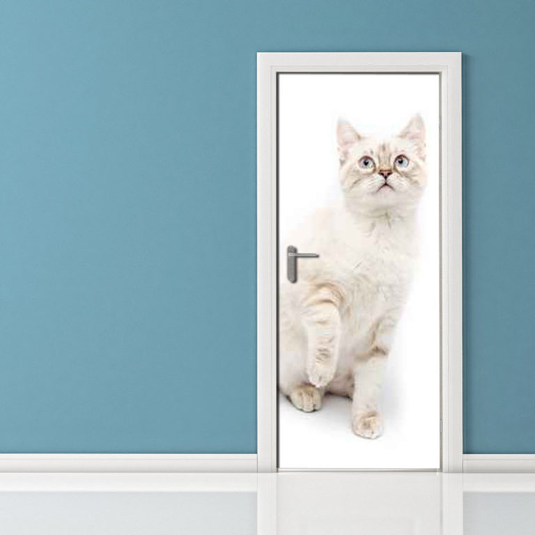 Adesivo per porta gattone