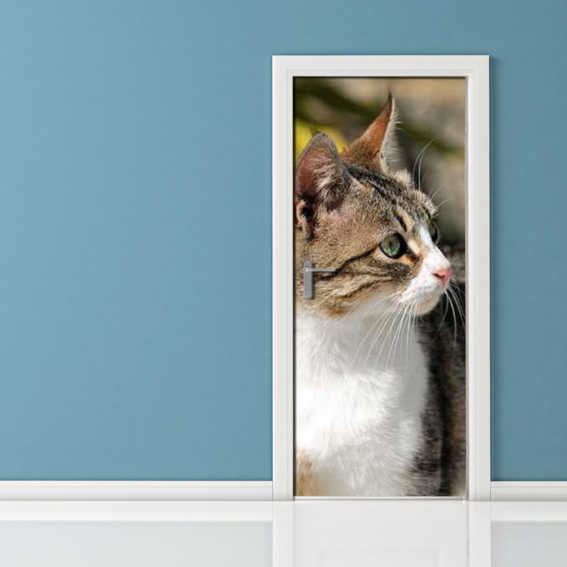Adesivo per porta: gatto attento
