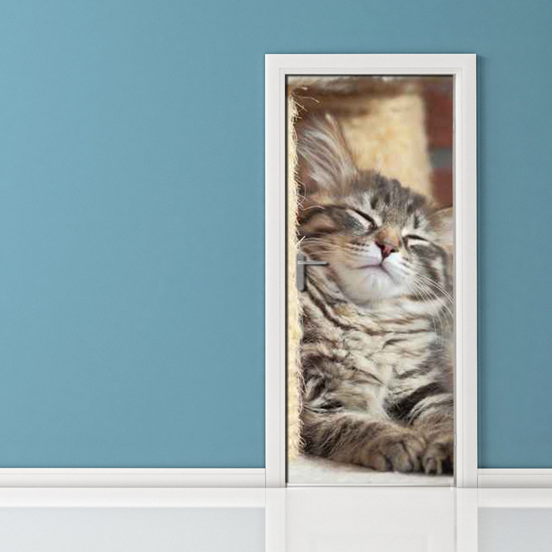 Adesivo per porta gatto coccolone