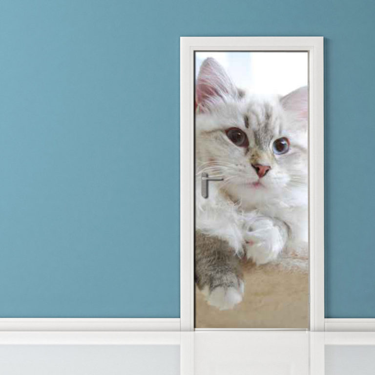 Adesivo per porte gatto pensieroso