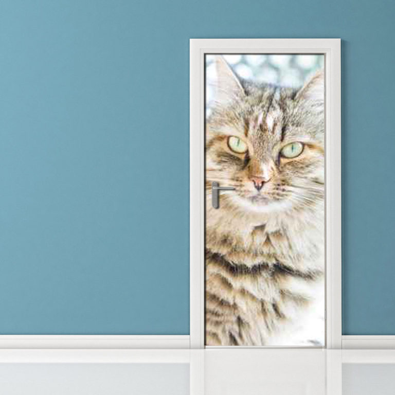 Adesivo per porte gatto cacciatore