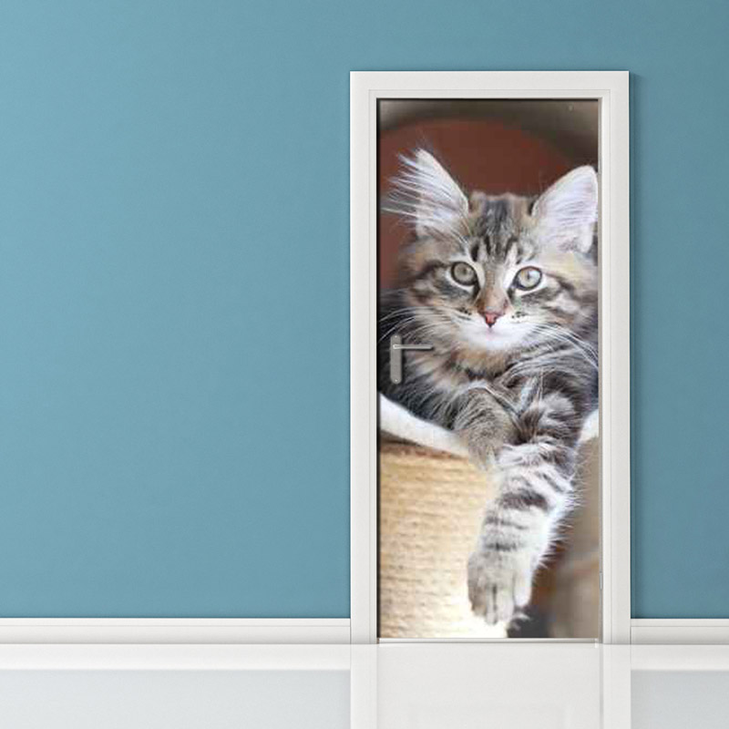 Adesivo porta: gatto