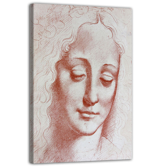 Testa di donna: illustrazione di Leonardo Da Vinci